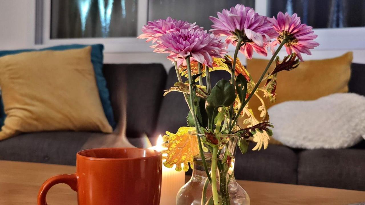 Primrose Boutique Apartment أشدود المظهر الخارجي الصورة