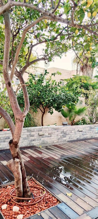Primrose Boutique Apartment أشدود المظهر الخارجي الصورة